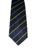 National Service stripe tie