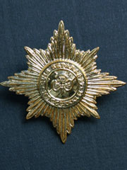 Irish Guards Cap Badge Image 2