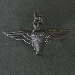 Parachute Regiment Cap Badge - QC - Darkened
