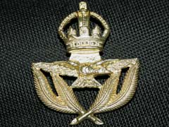 RAF Warrant Officer George 6th Cap Badge