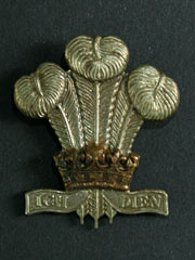 Royal Regiment of Wales Cap Badge