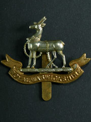 Royal Warwickshire Regiment Cap Badge Image 2