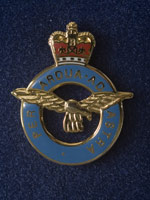 RAF Lapel Badge in box