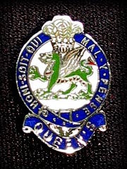 2nd Battalion The Queens Regiment lapel badge
