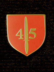 45 Commando boxed Lapel Badge