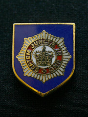 Brigade of Guards Lapel Badge