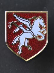 Airborne Regiment lapel badge
