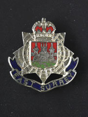 East Surrey lapel badge