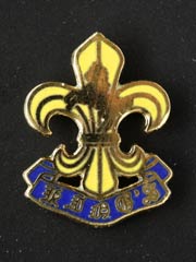 Kings Regiment lapel badge