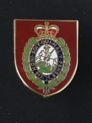 Northumberland Fusiliers lapel badge