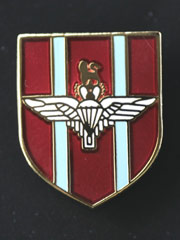 Parachute regiment lapel badge