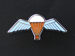 Parachute regt wings lapel badge