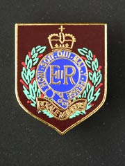 Royal Engineers lapel badge