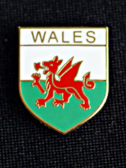 Welsh Flag Lapel Badge