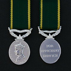 Territorial Efficiency Medal GVIR Image 2