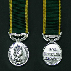 Territorial Efficiency Medal EIIR Image 2
