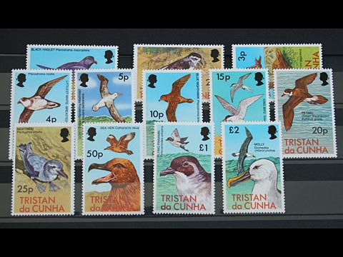 Tristan Da Cunha 1977 Birds Mint Stamp Set