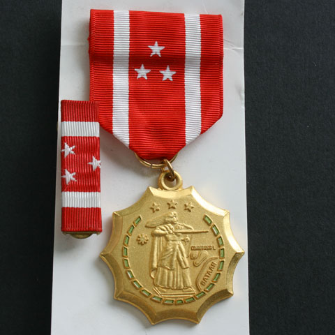 USA Philippines Defense Medal
