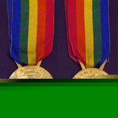Normandy Veterans Medal