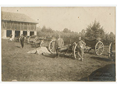 Serbian Soldiers Displaying Captured Austrian Guns 1915