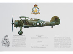 Gloster Gladiator 80 Squadron RAF Print