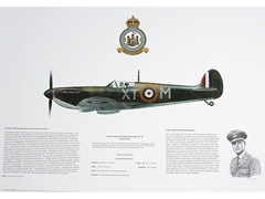 Supermarine Spitfire Mk1a 603 Squadron RAF Print