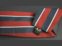 Royal Air Force Cummerband