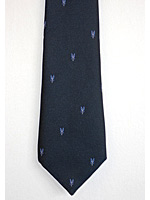 SAS logo tie