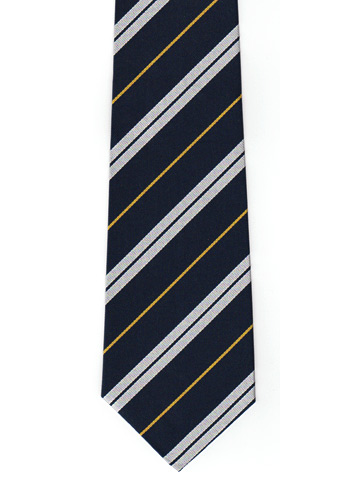 RASC striped tie