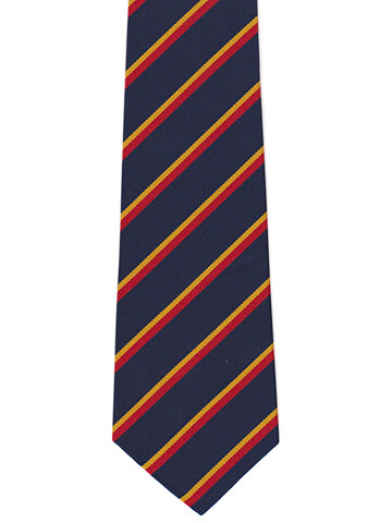 REME striped tie