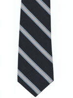 Royal Observer Corps striped tie