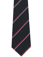Royal Naval Association striped tie