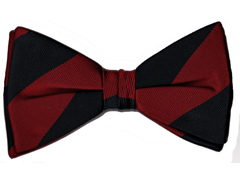 Brigade of Guards striped bow tie