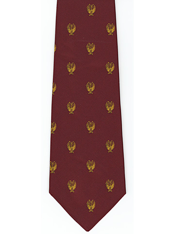 RAF Bomber Command logo tie