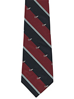 RAF Signaller logo tie