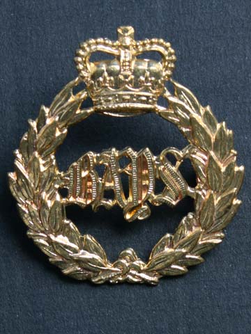 2nd Dragoon Guards (Queen's Bays) Cap Badge