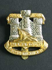 Devon and Dorset Regiment Cap Badge Image 2