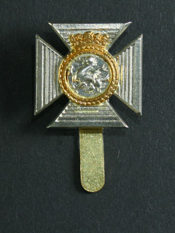 Duke of Edinburgh's Royal Regiment Cap Badge