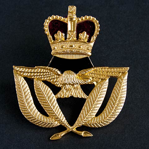 RAF Warrant Officer Pin Badge