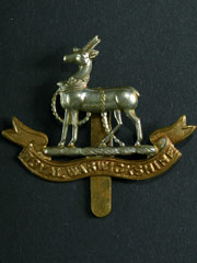 Royal Warwickshire Regiment Cap Badge