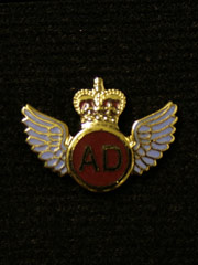 Air Despatch lapel badge