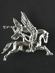 Airborne regiment silver lapel badge