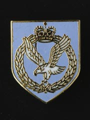 Army Air Corps lapel badge
