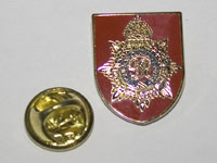Lapel badge showing its safety catch