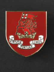 Duke of Wellingtons lapel badge