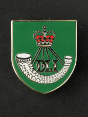 Durham Light Infantry lapel badge