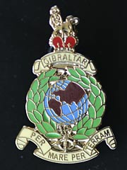 Royal Marines lapel badge
