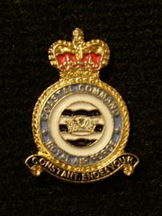 RAF Coastal Command Lapel Badge