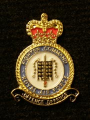RAF Fighter Command lapel badge
