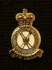 RAF Regiment Lapel Badge